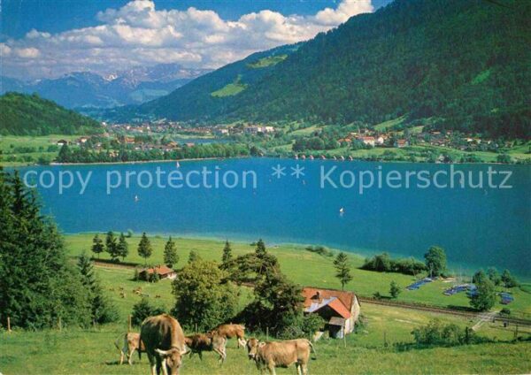 Buehl Alpsee mit Immenstadt