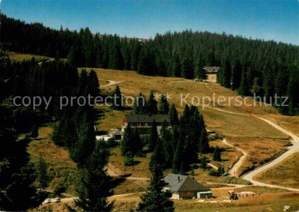 Feldberg Schwarzwald Gasthaus Pension zum Auerhahn