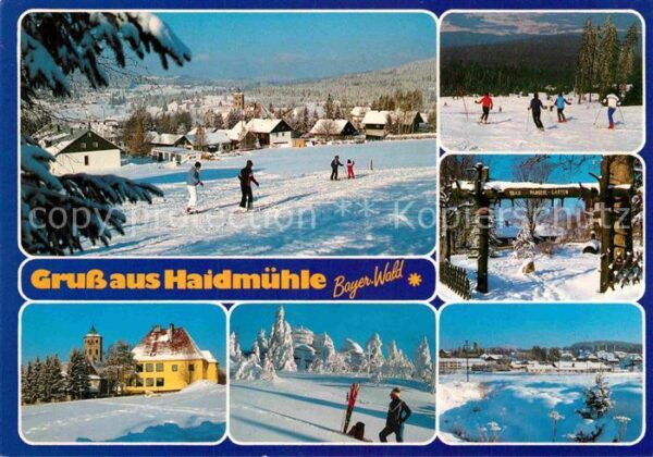 Haidmuehle Panorama Skipisten Max Pangerl Garten