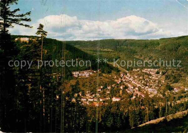 Wildbad Schwarzwald Panorama