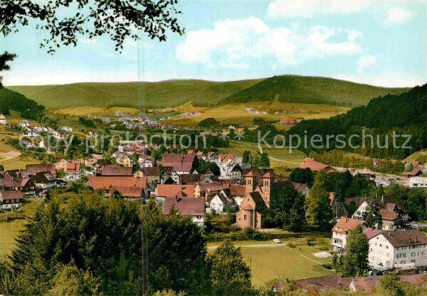Klosterreichenbach Panorama