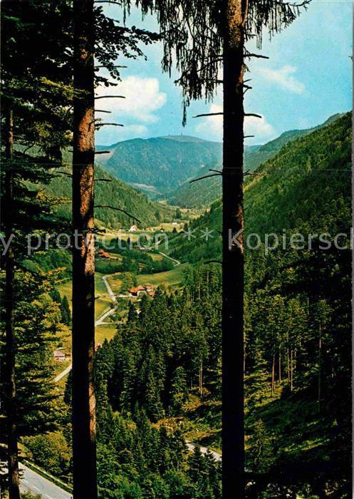 Schwarzwald St Wilhelmer Tal