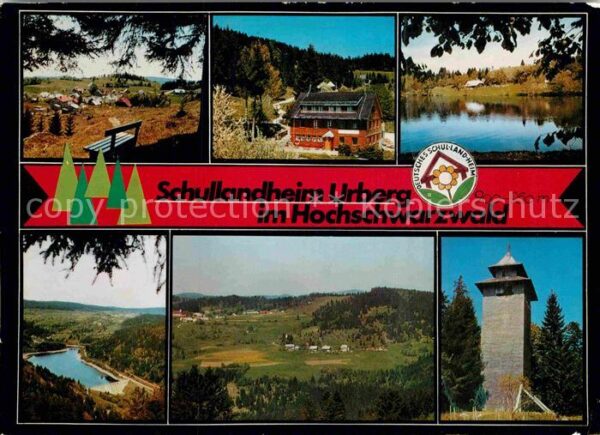 Urberg Schullandheim Urberg Weiher Waldschwimm
