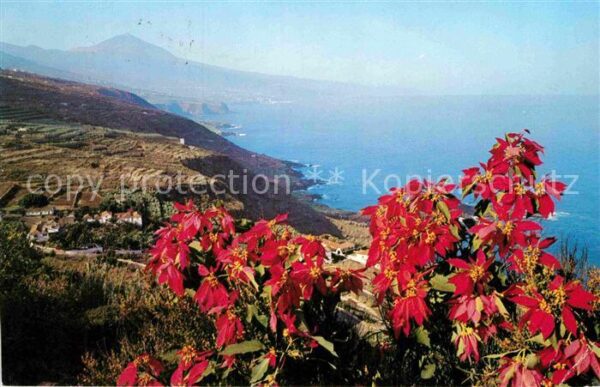Teneriffa mit Vulkan Teide