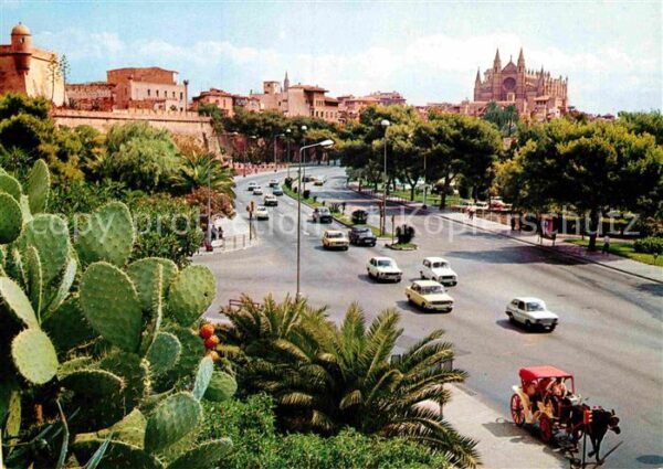 Palma de Mallorca Teilansicht Schloss Pferdekutsche