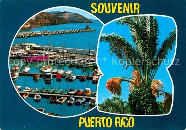 Puerto Rico Gran Canaria Hafenpartie Palmen