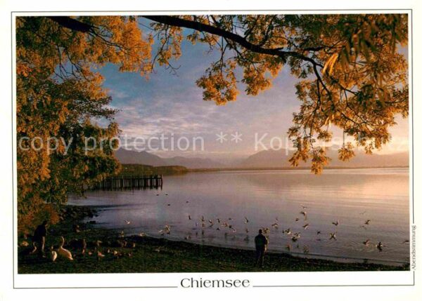 Chiemsee Panorama