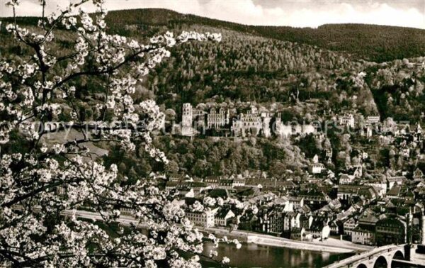 Heidelberg Neckar Stadtpanorama mit Blick aufs Schloss Ba