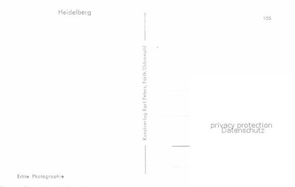Heidelberg Neckar Stadtpanorama mit Blick aufs Schloss – Bild 2