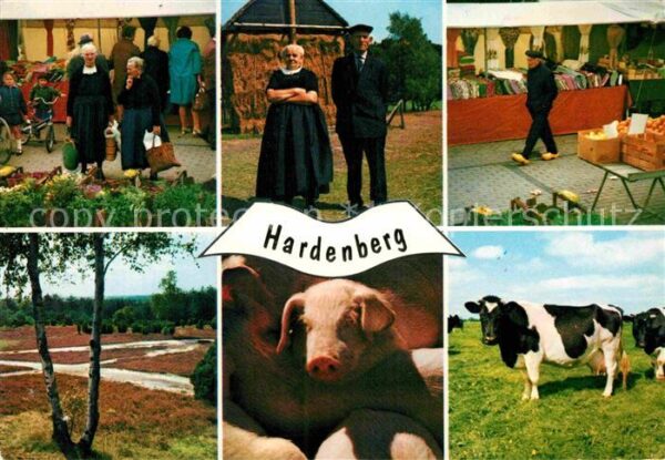 Hardenberg Niederlande Landschaftspanorama Markt Bauern Kühe S