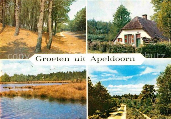 Apeldoorn Berg en Bos Landschaftspanorama Waldpar
