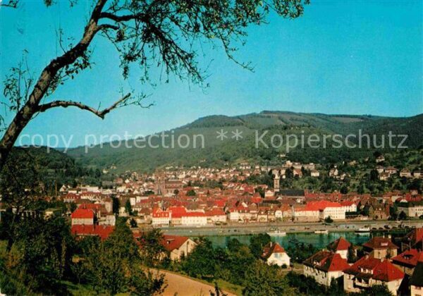 Eberbach Neckar 750 Jahre Jubiläum Stadtpanorama