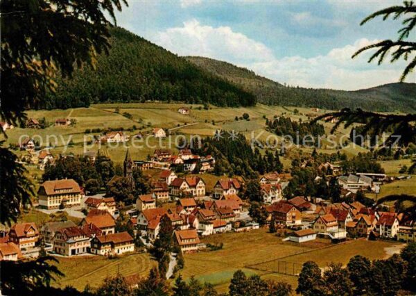 Mitteltal Schwarzwald Panorama Höhenluftkurort und Winterspor