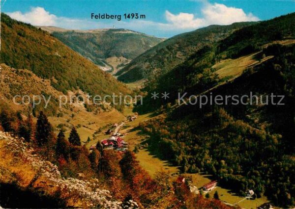 Feldberg Schwarzwald Panorama Wiesental Herbststimmung