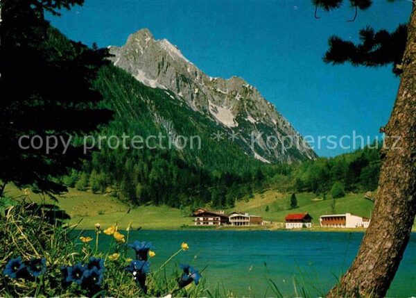 Lautersee Mittenwald Blauer Enzian am Seeufer gegen Wetterst