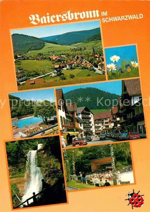 Baiersbronn Schwarzwald Landschaftspanorama Blumen Freibad Inne
