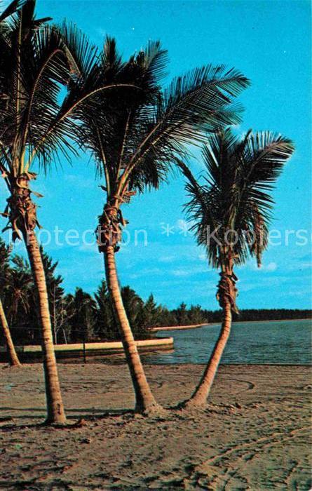 Palm Beach Coastline