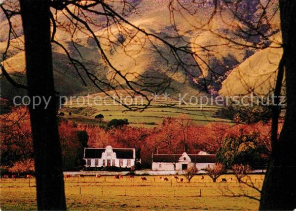 Suedafrika Southafrica RSA Schoongezicht Stellebosch