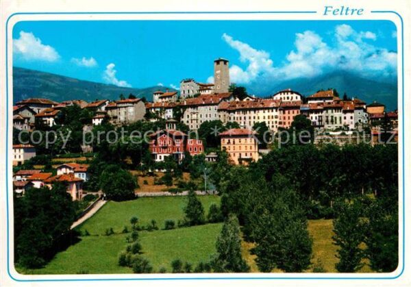 Feltre Panorama