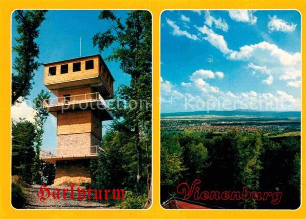 Vienenburg Harlyturm Panorama