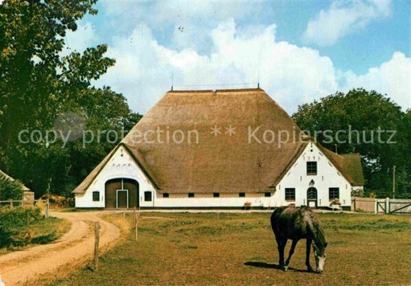Eiderstedt Eiderstedter Hauberg