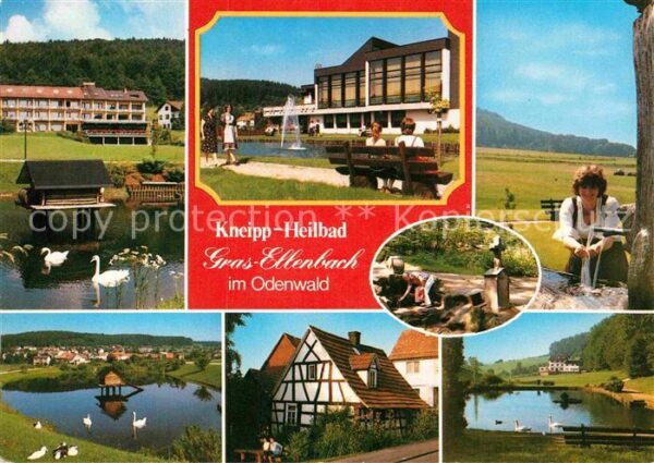 Gras-Ellenbach Schwanenteich Kneipp Kurhaus Heilbad Br