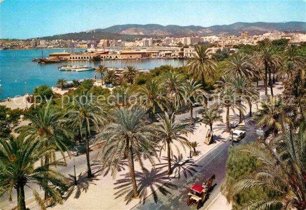 Palma de Mallorca Paseo de Sagrera