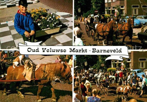 Barneveld Gelderland Pferdekutschen