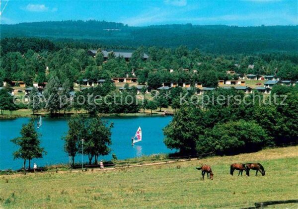 Kell See Aegon Ferienpark Hochwald Pferde