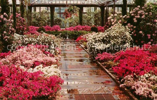 Kennett Square Longwood Gardens