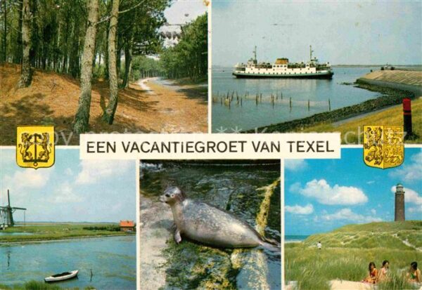 Texel Hafen Leuchtturm Seelöwe
