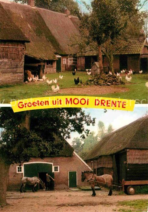 Drente Bauernhof Pferde Hühner