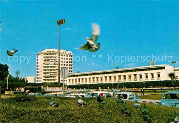 Casablanca Avenue Hassan Tanni