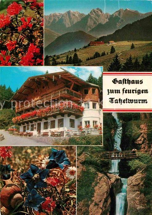 Bayrischzell Alpengasthof zum feurigen Tatzelwurm