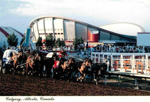 Calgary Pferdekutschenrennen