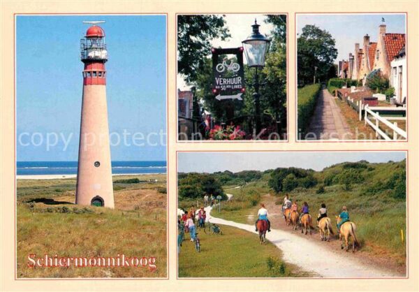Schiermonnikoog Nationalpark Leuchtturm Pferde