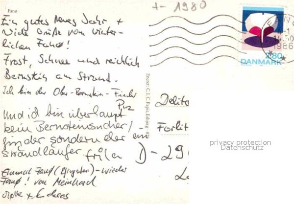 Fanoe Volkstanz Aufmarsch – Bild 2