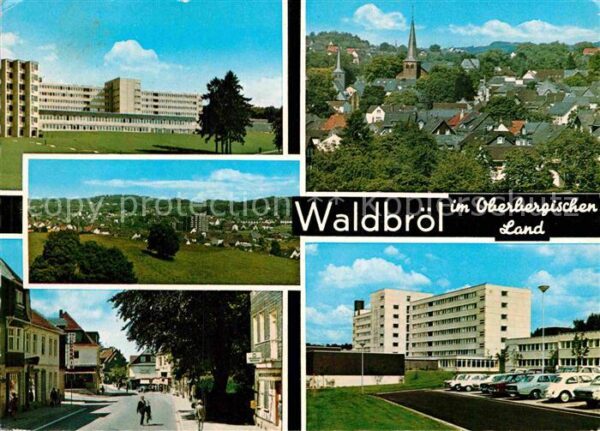 Waldbroel