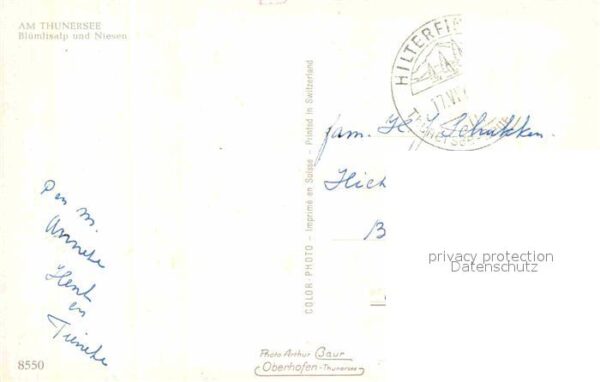 Motorschiffe Thunersee Blümlisalp Niesen – Bild 2