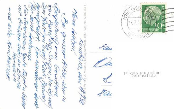 Moewen Bodensee – Bild 2