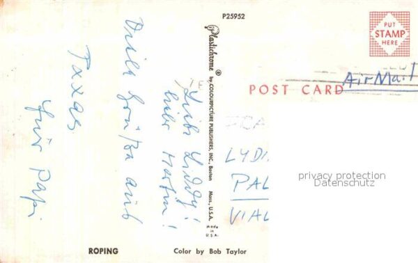 Cowboys Roping – Bild 2