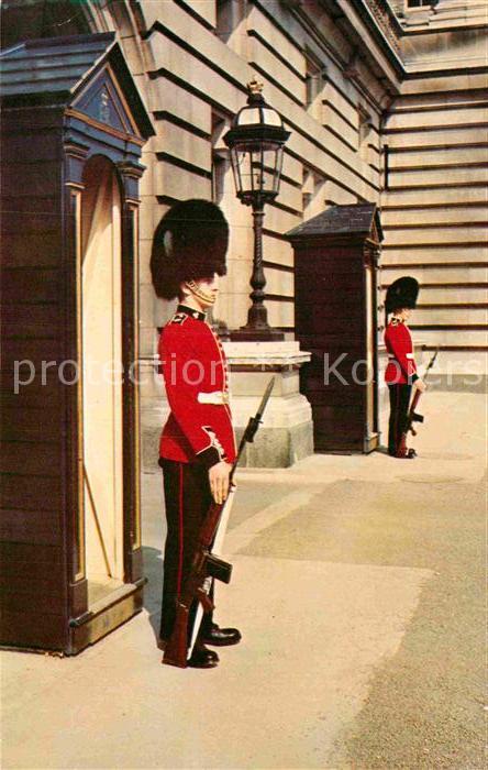 Leibgarde Wache Irish Guards Sentry Duty Buckingham Pal