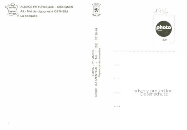 Storch Nid de Cigognes Ostheim La Becquee – Bild 2