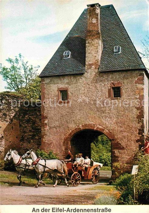 Pferdekutschen Eifel-Ardennenstrasse