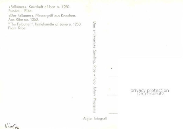Falkner Falke Falcon Faucon Halcon Der Falkoner Messergriff aus Knochen Ri – Bild 2