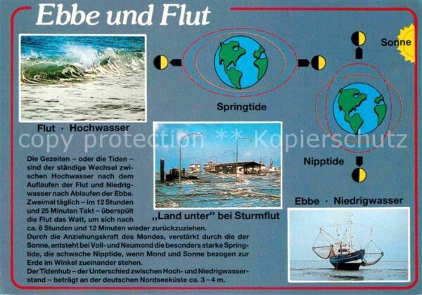 Wissenschaft Science Ebbe und Flut Springtide Nipptide