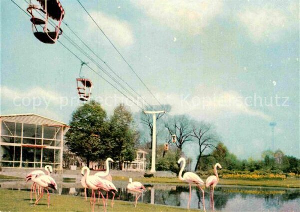 Bundesgartenschau Köln Flamingoteich Sesselbahn