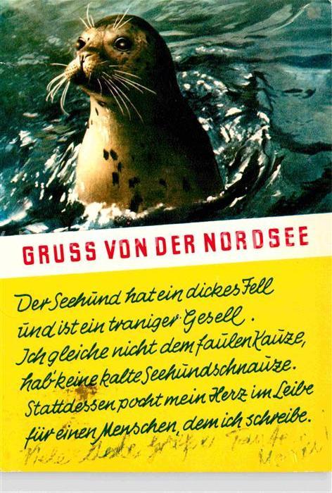 Seehunde Robben Nordsee Gedicht
