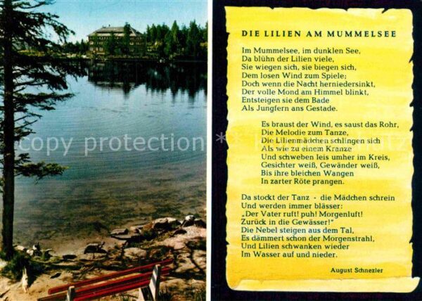 Liederkarte Die Lilien am Mummelsee August Schnezle