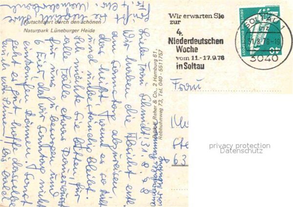 Pferde Kutschfahrt Naturpark Lüneburger Heide – Bild 2